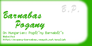barnabas pogany business card